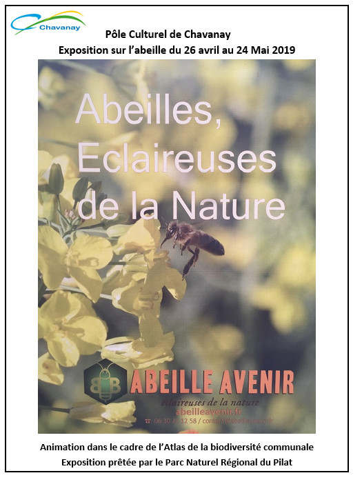 affiche chavanay